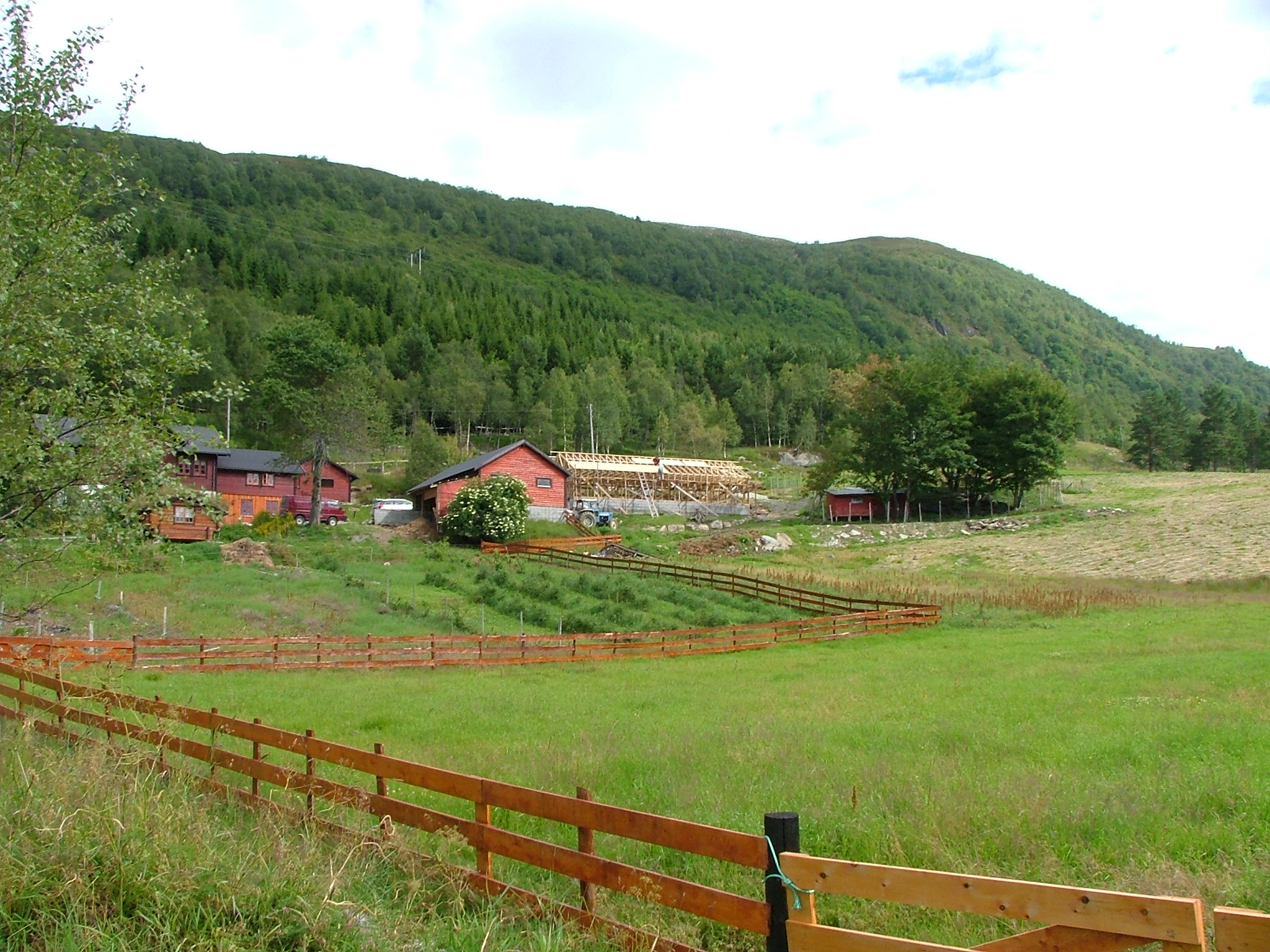 2005 Sauefjøs